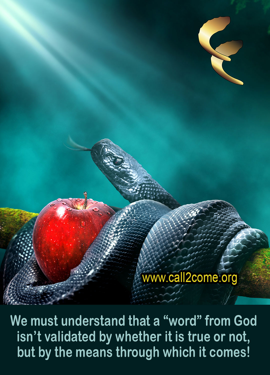 Raising Prophets With Maturity